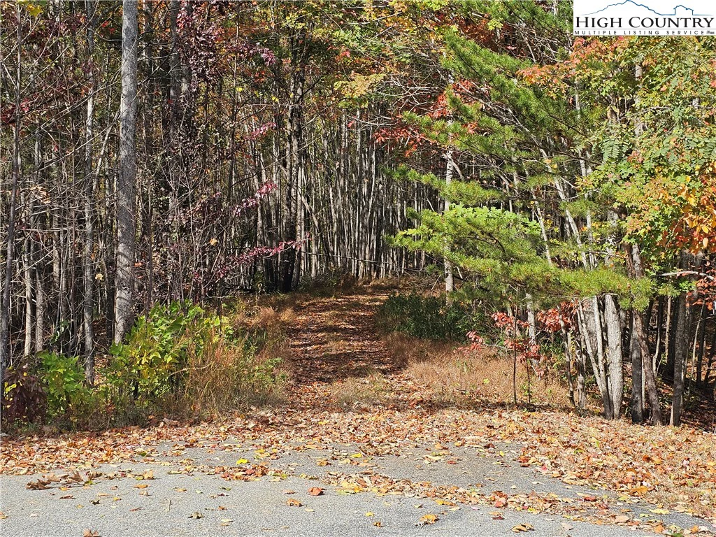 Image number 4 for the current listing