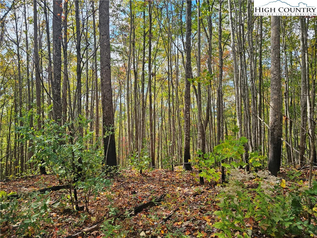 Image number 3 for the current listing