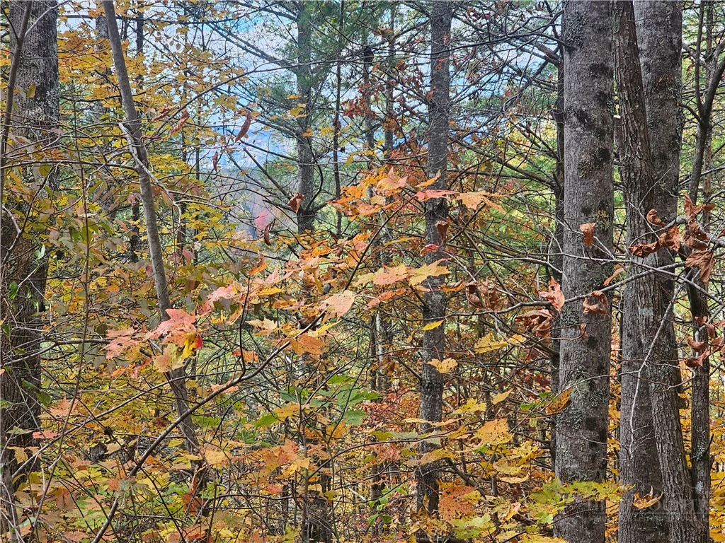Image number 18 for the current listing