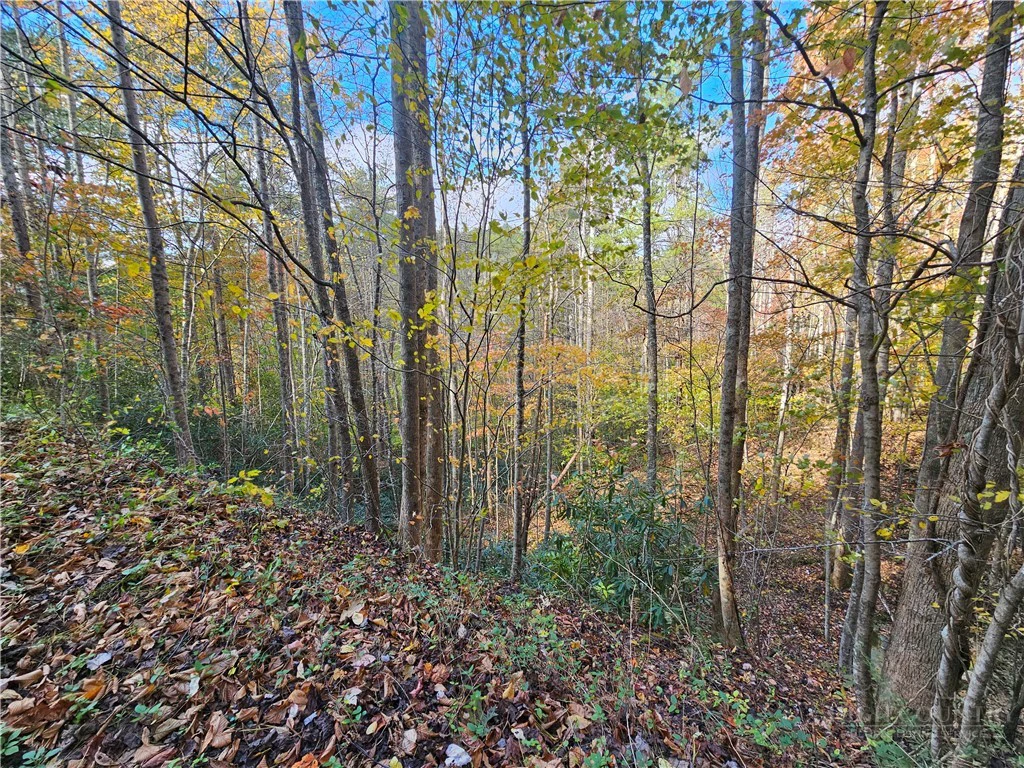 Image number 13 for the current listing