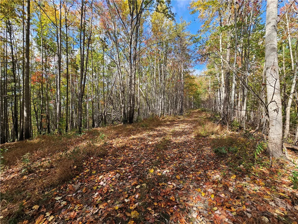 Image number 8 for the current listing
