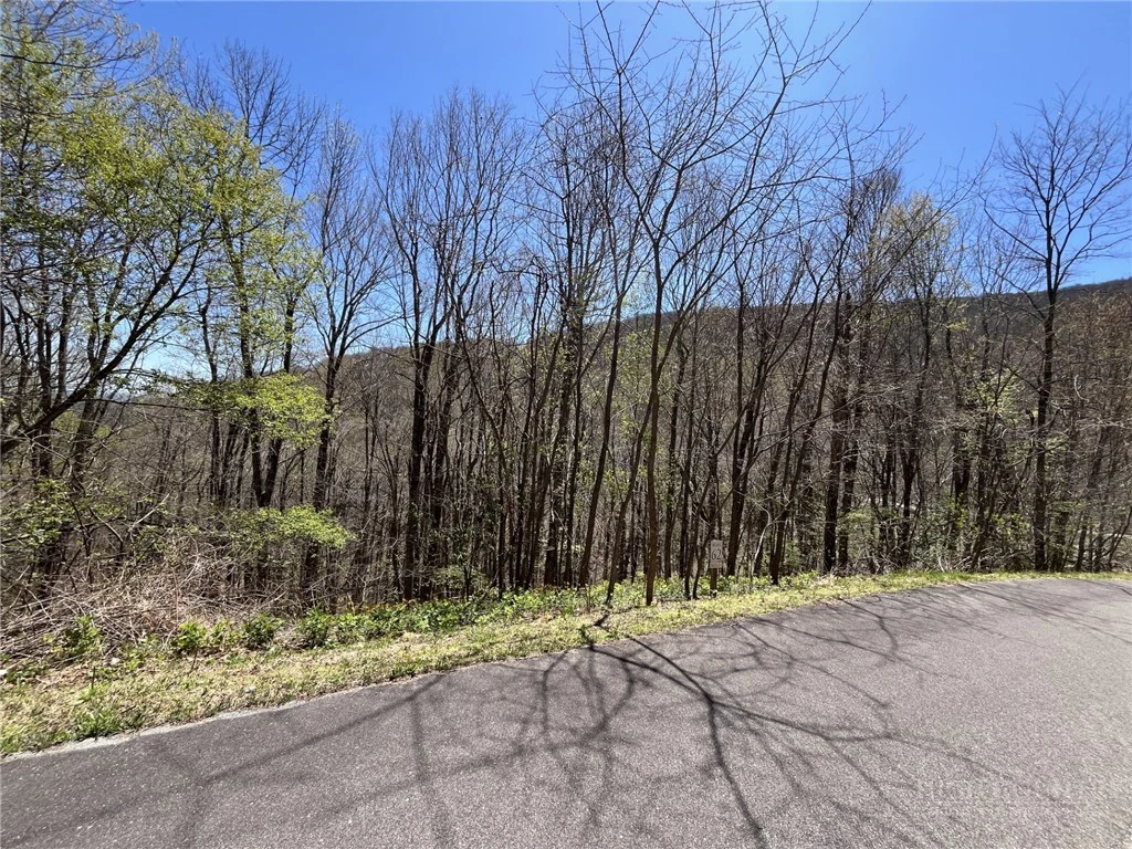 Image number 2 for the current listing