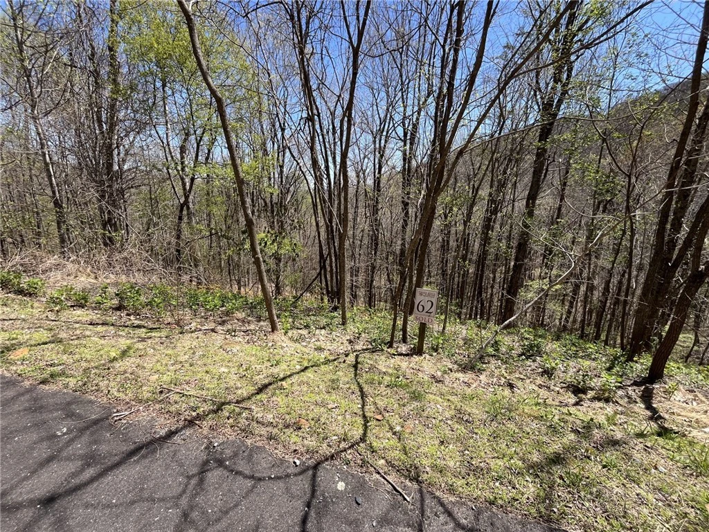 Image number 3 for the current listing