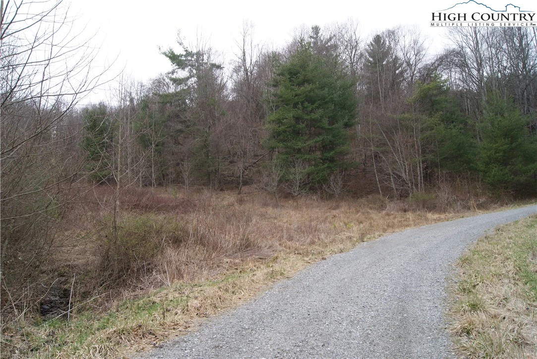 Image number 1 for the current listing