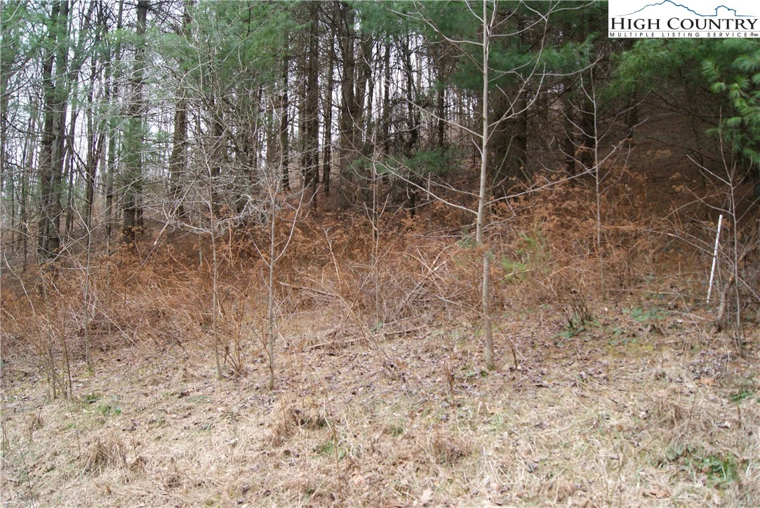 Image number 3 for the current listing