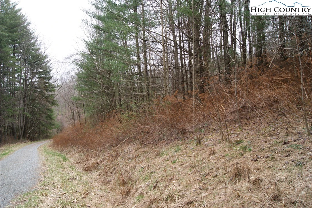 Image number 4 for the current listing