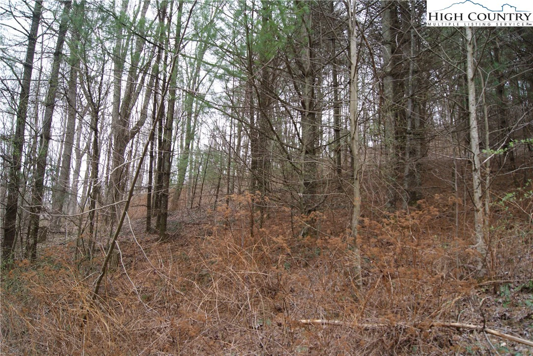 Image number 5 for the current listing