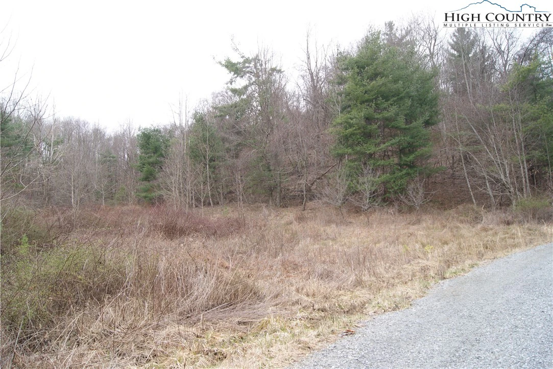 Image number 7 for the current listing