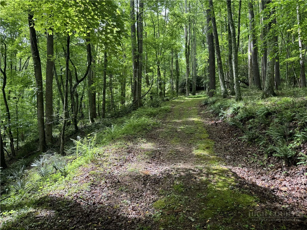 Image number 3 for the current listing