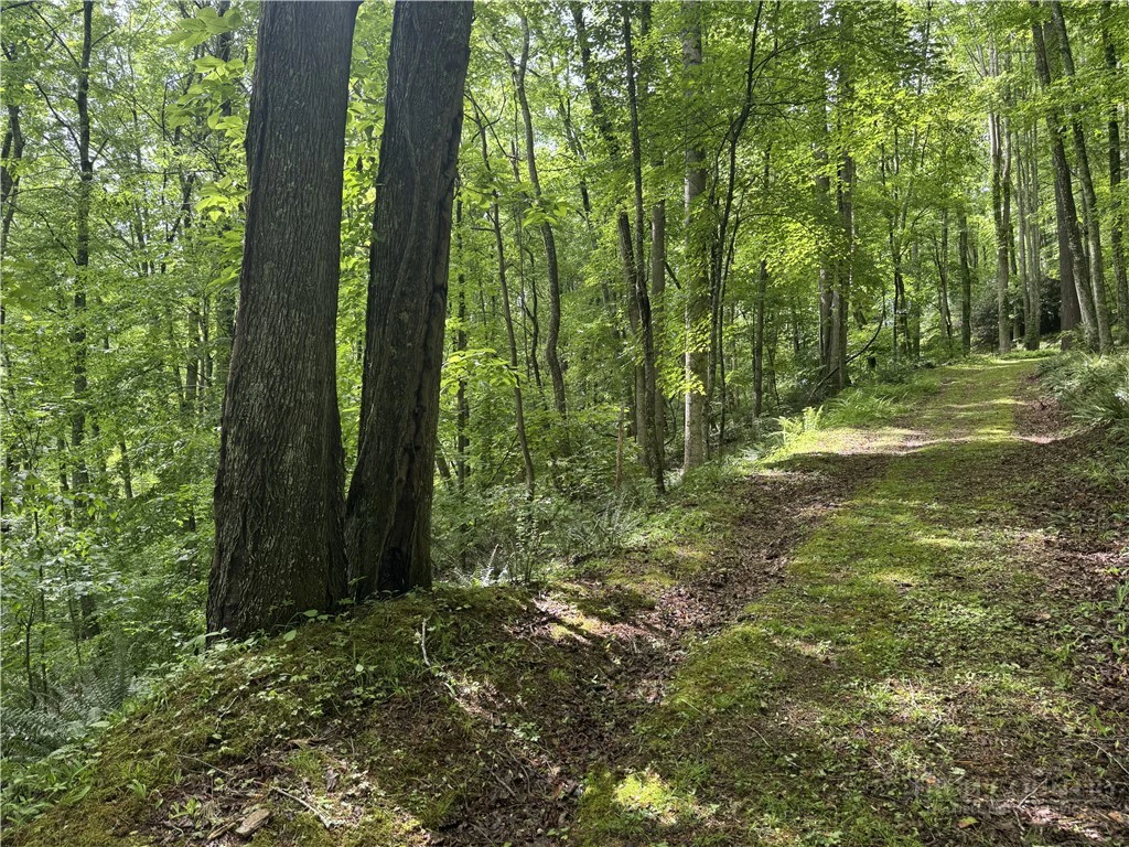 Image number 2 for the current listing