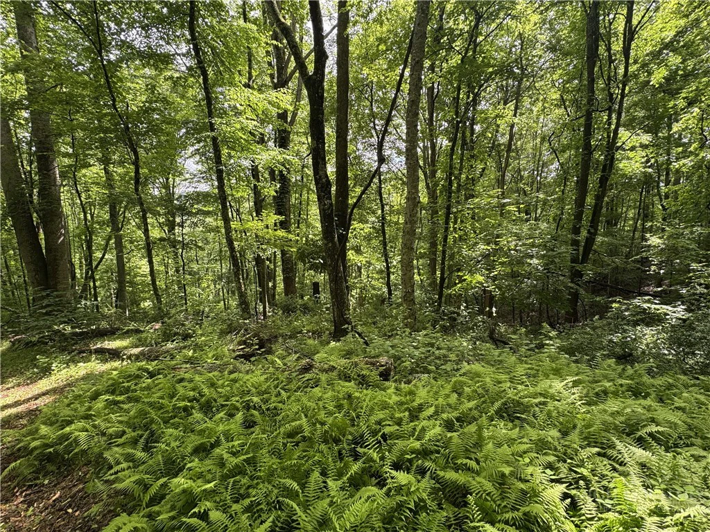Image number 1 for the current listing