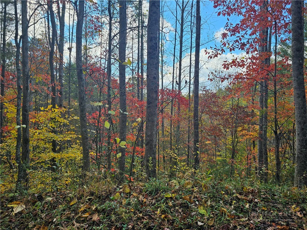 Image number 20 for the current listing