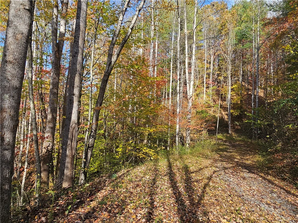 Image number 18 for the current listing