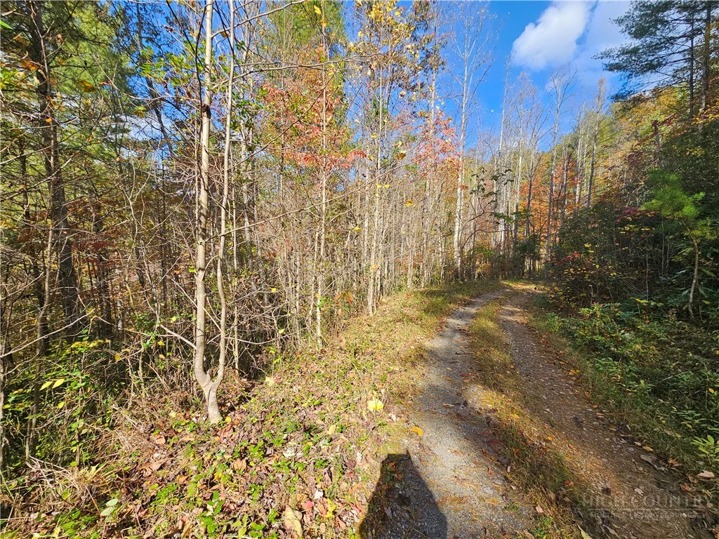 Image number 15 for the current listing