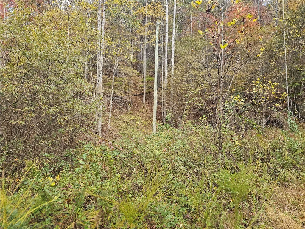Image number 2 for the current listing