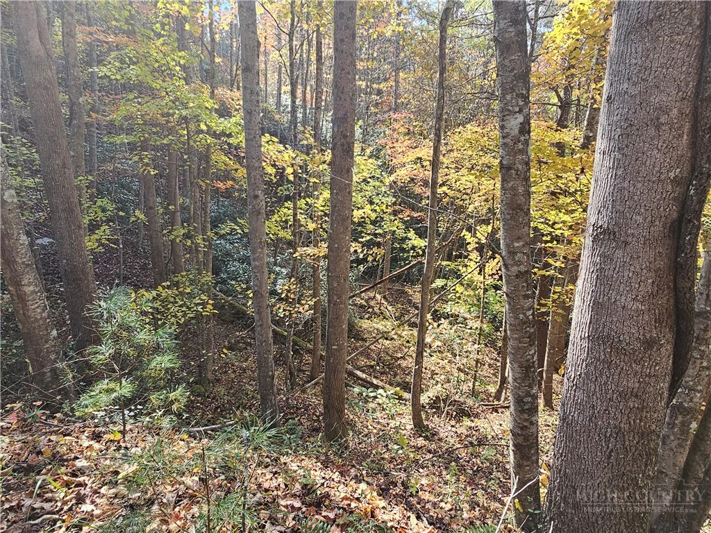 Image number 11 for the current listing