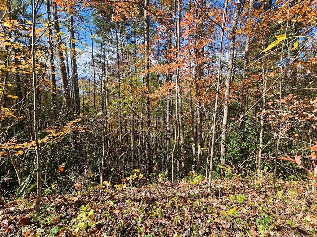Image number 9 for the current listing