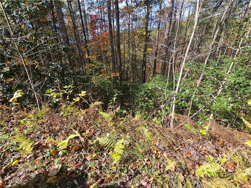 Image number 8 for the current listing