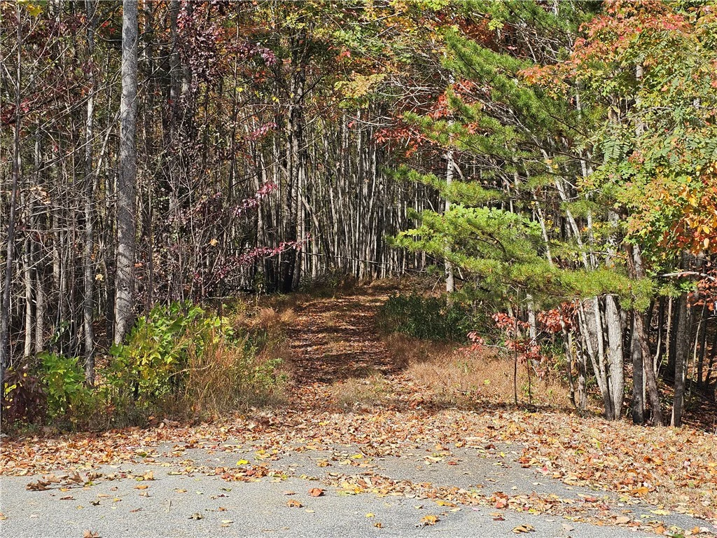 Image number 7 for the current listing