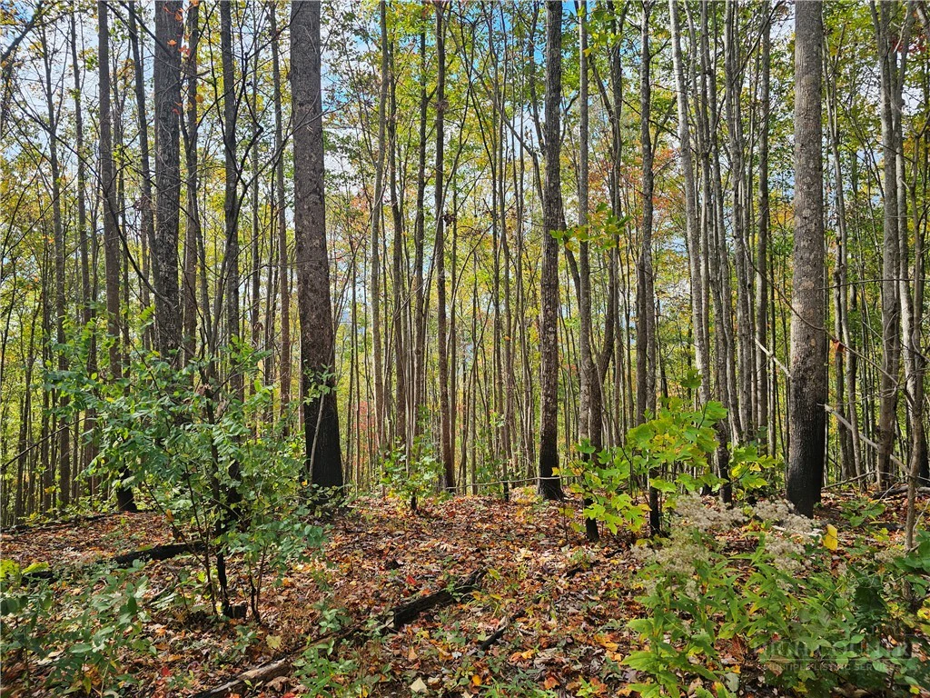 Image number 6 for the current listing
