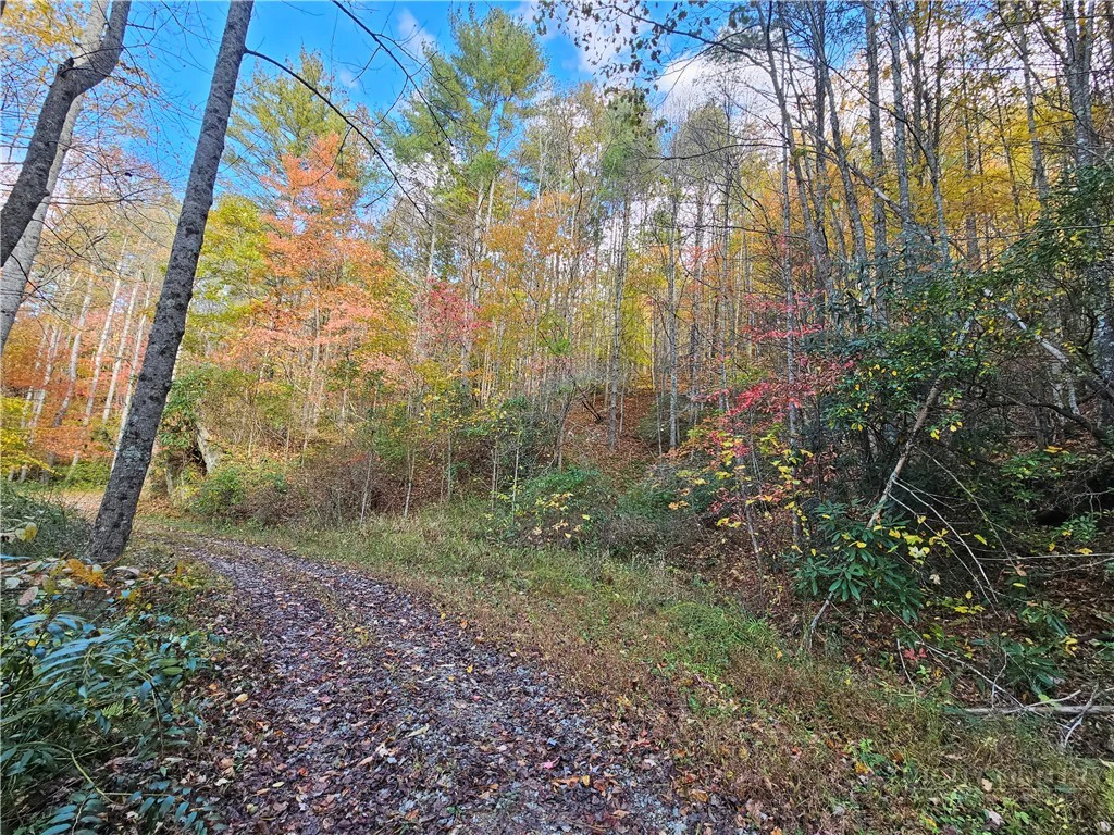 Image number 4 for the current listing