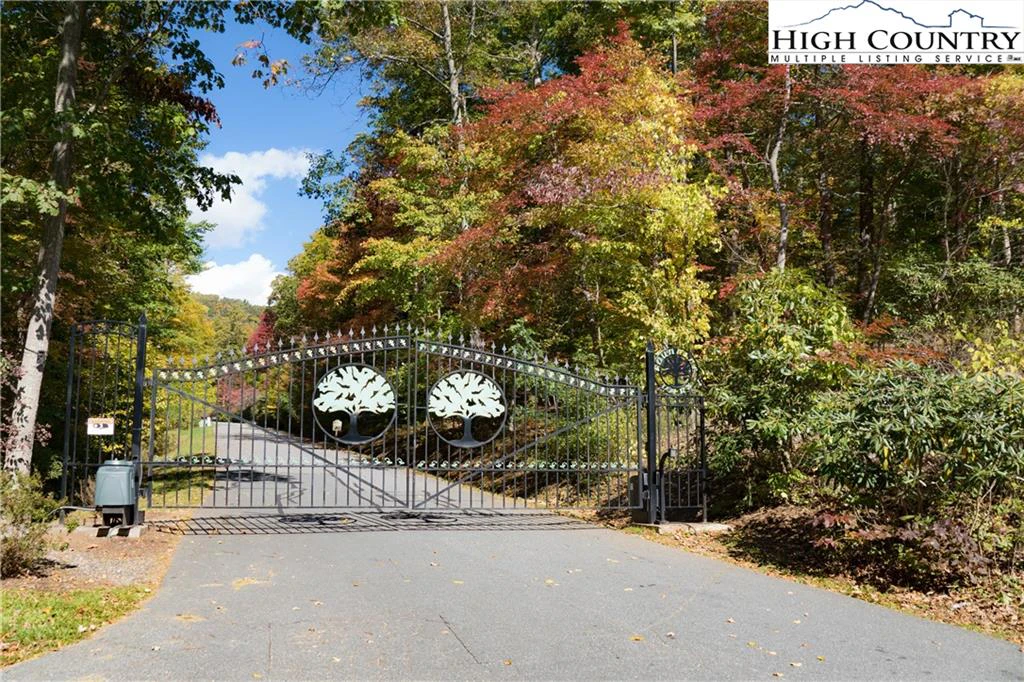 Image number 1 for the current listing