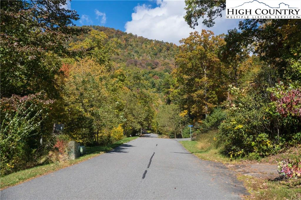 Image number 3 for the current listing