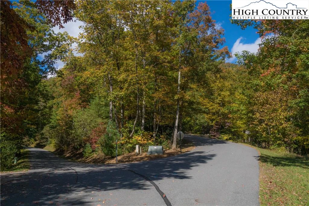 Image number 4 for the current listing