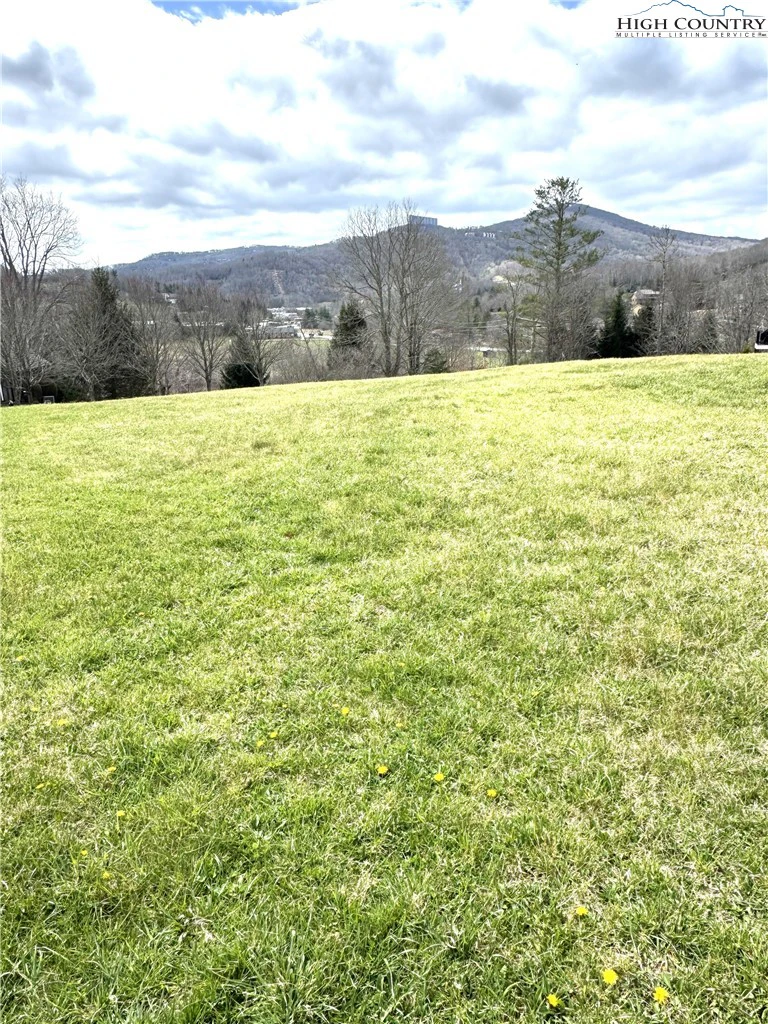 Image number 3 for the current listing