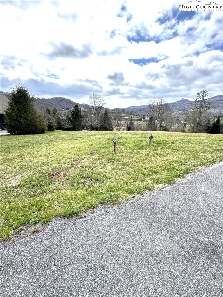 Image number 5 for the current listing