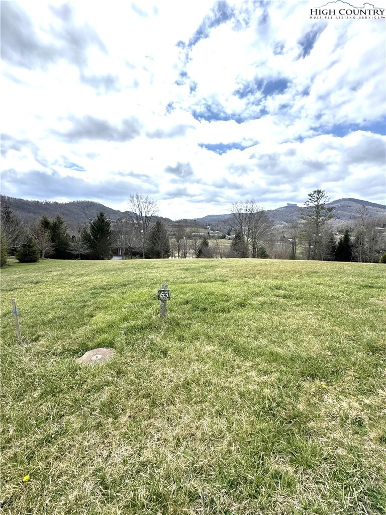 Image number 6 for the current listing