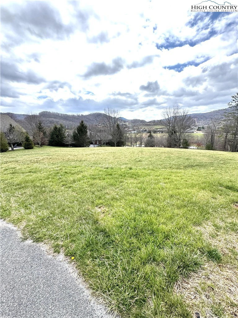 Image number 1 for the current listing