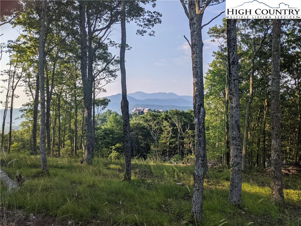 Image number 1 for the current listing