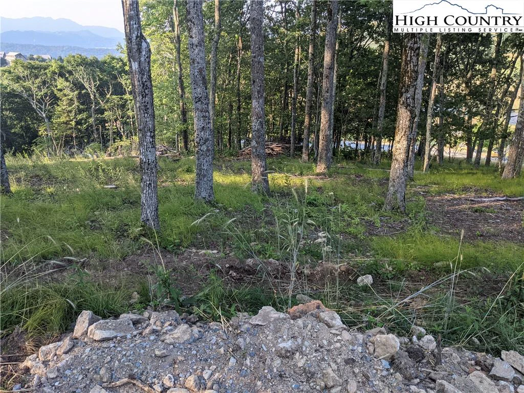 Image number 4 for the current listing