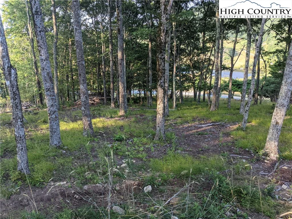 Image number 7 for the current listing