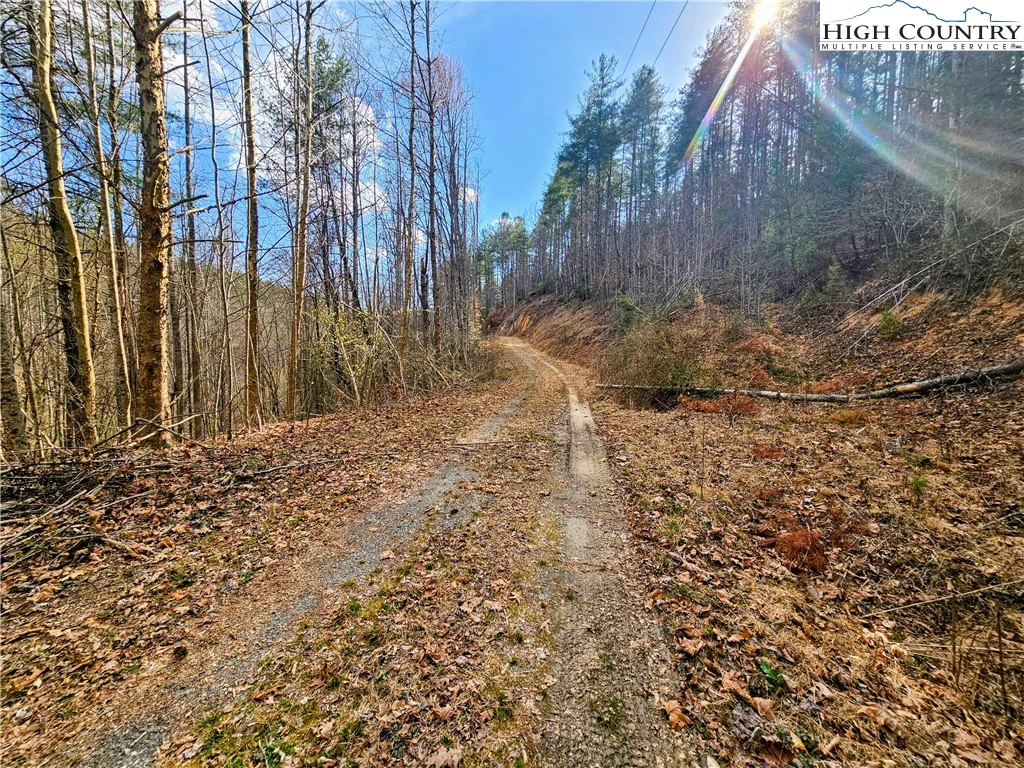 Image number 14 for the current listing