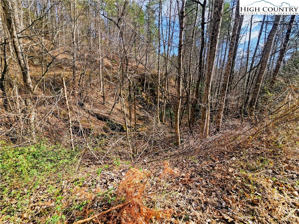 Image number 13 for the current listing