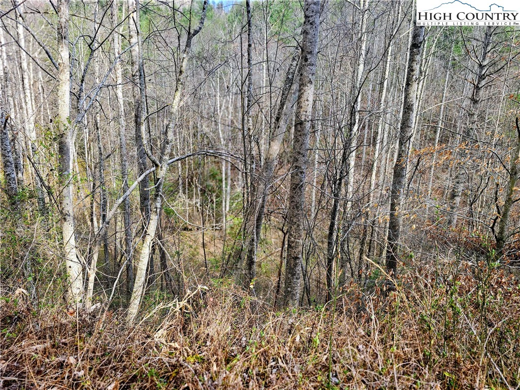 Image number 7 for the current listing