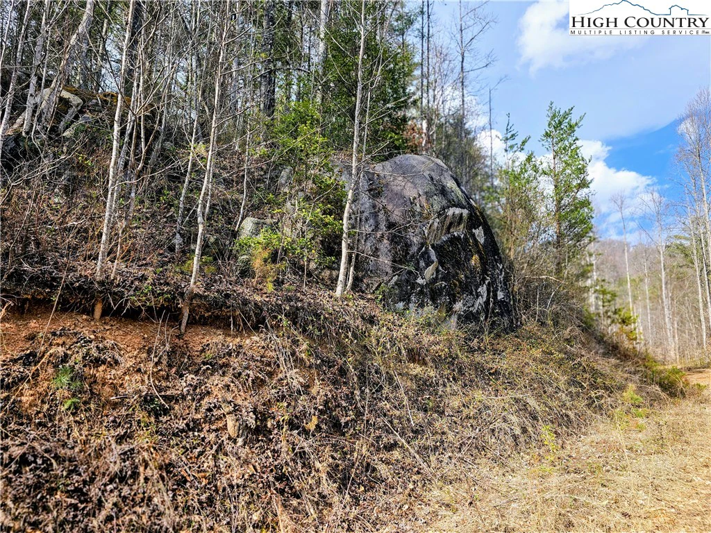 Image number 6 for the current listing