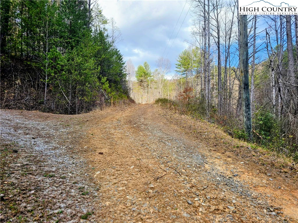 Image number 3 for the current listing