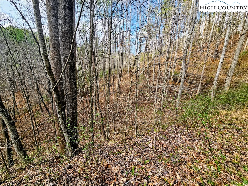 Image number 5 for the current listing