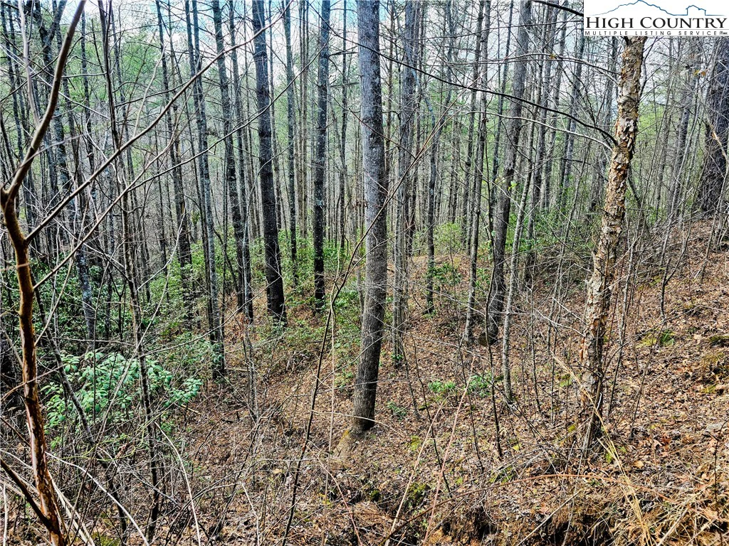 Image number 4 for the current listing