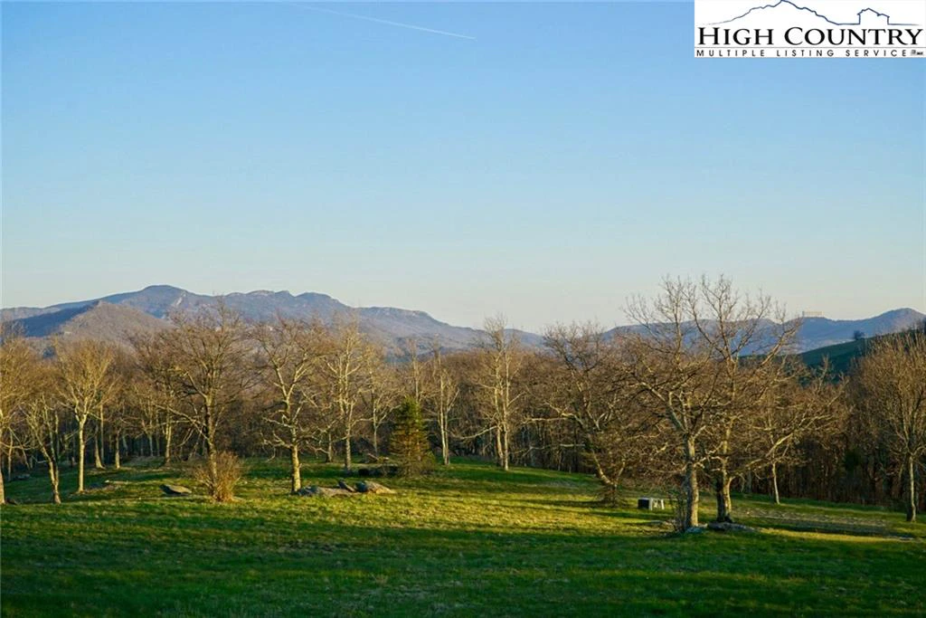 Image number 1 for the current listing