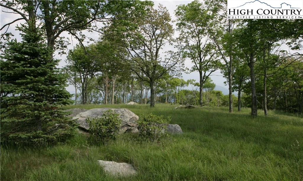 Image number 9 for the current listing