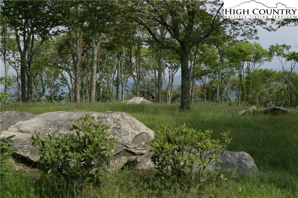 Image number 8 for the current listing