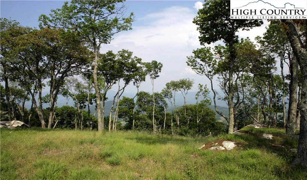 Image number 6 for the current listing