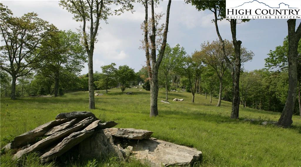 Image number 5 for the current listing