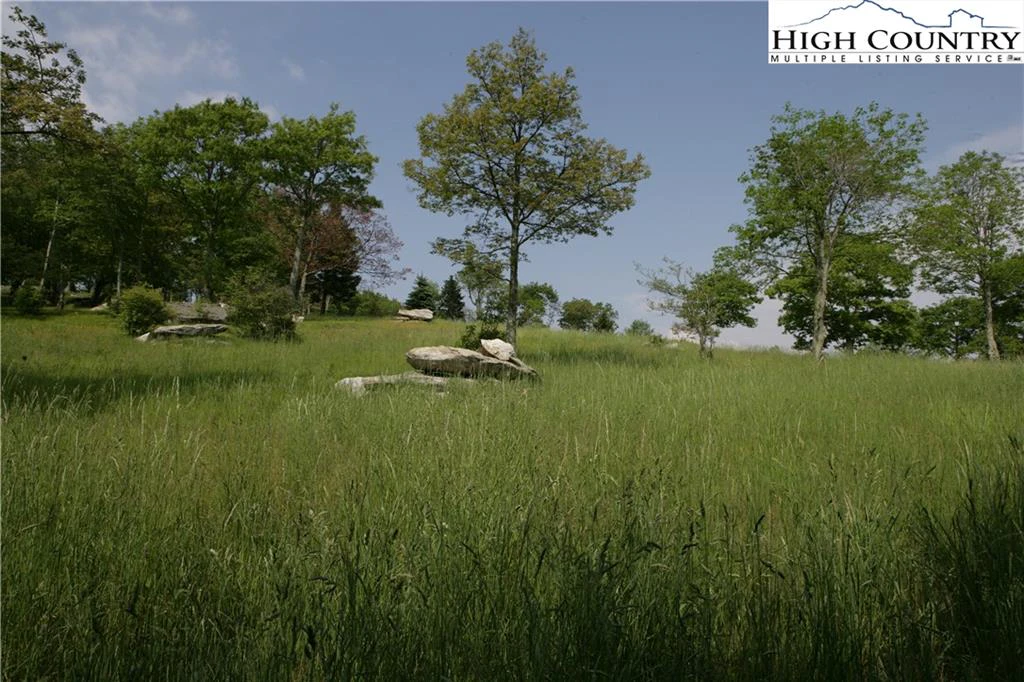 Image number 4 for the current listing