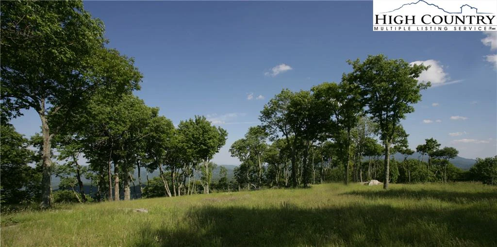 Image number 3 for the current listing
