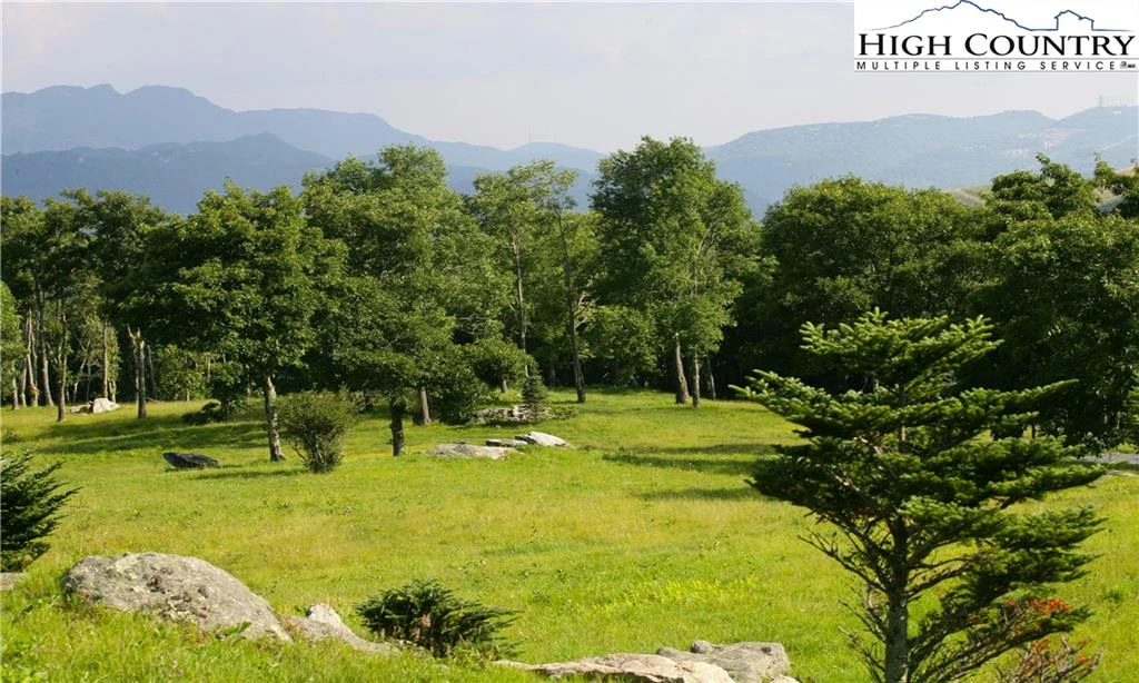 Image number 17 for the current listing
